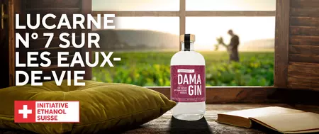 Lucarne sur les Eaux-de-vie Dama Gin